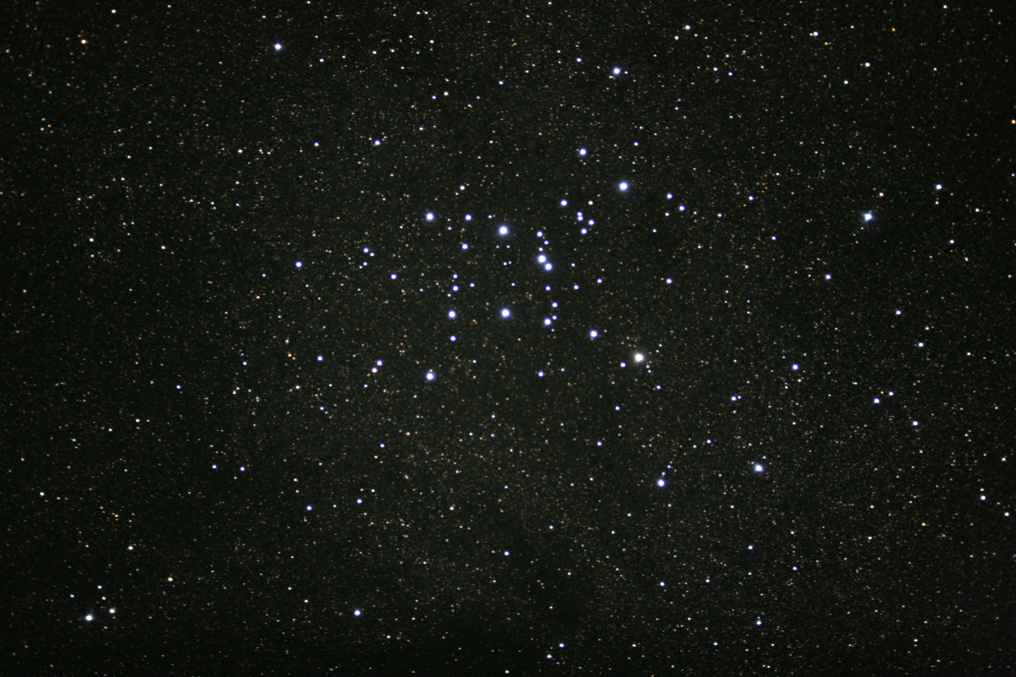 M7 Open Cluster (Box Cluster)