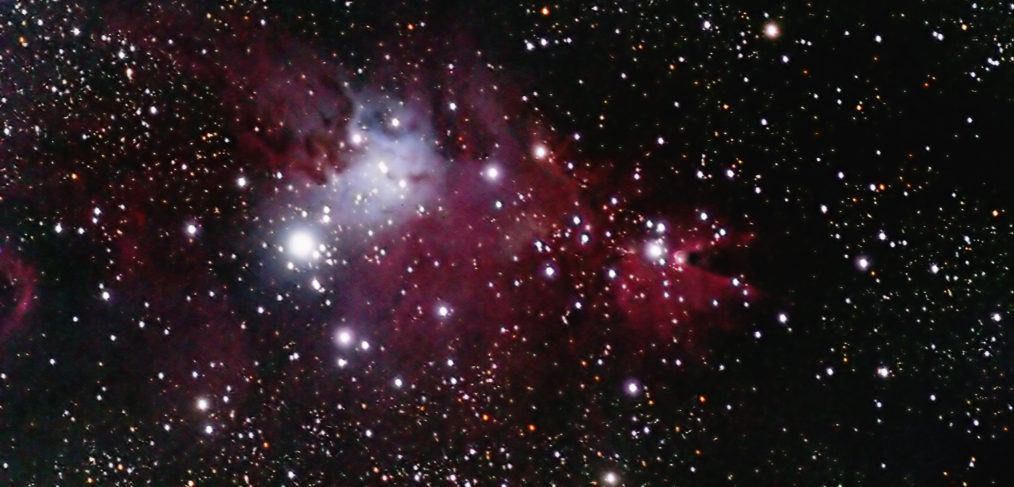 NGC 2264 the Christmas Tree Cluster
