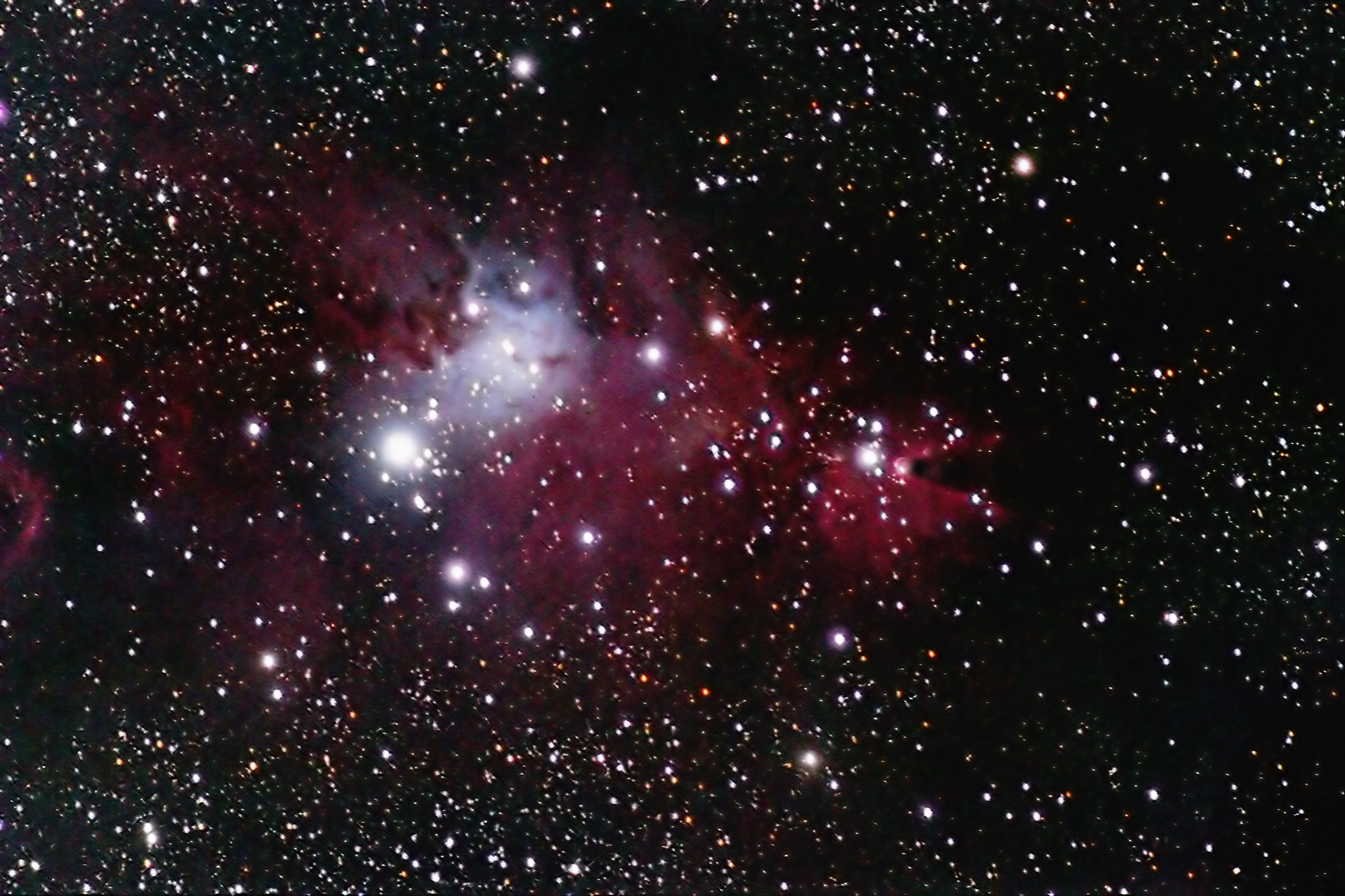 NGC 2264 the Christmas Tree Cluster with Nebulousity